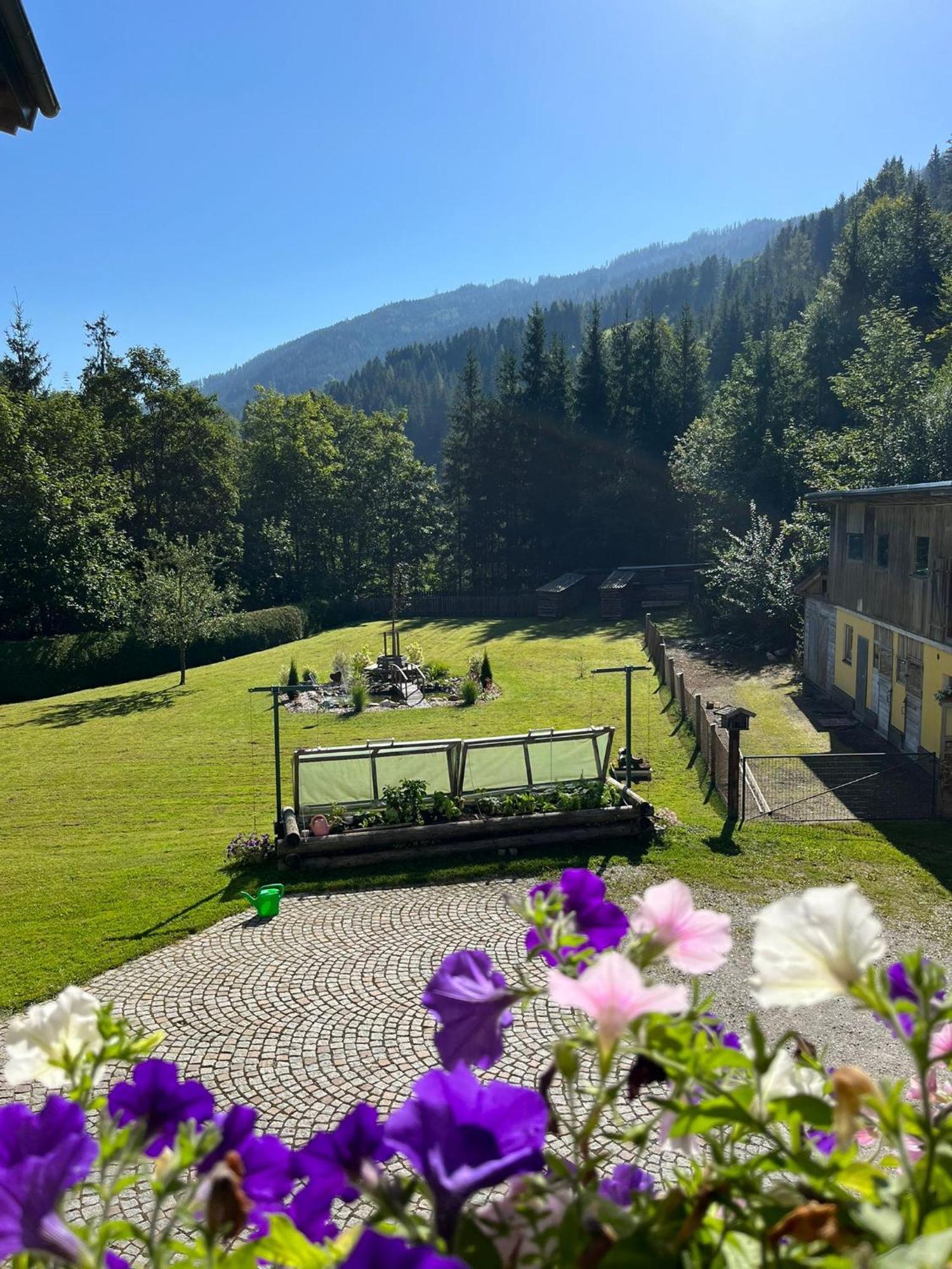 شقة Haus Rosina Mühlbach am Hochkönig المظهر الخارجي الصورة